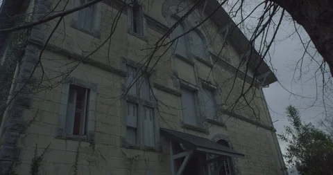 Haunted house with Tree branches moving in the wind at night in a scary cloudy Vídeos de archivo 110697474