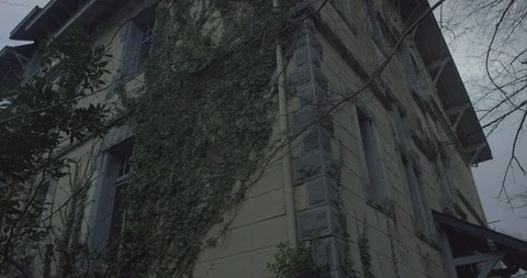 Haunted house with Tree branches moving in the wind at night in a scary cloudy Vídeos de archivo 110697718