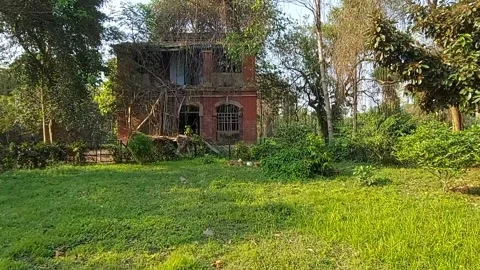 Haunted house within Indian botanic garden. Stock Footage 172629885