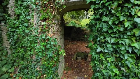 Haunted Ireland walking through a door of ruined church in woods in rural Stock Footage 288090915