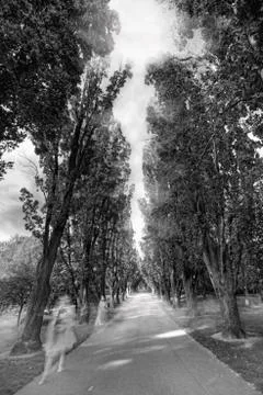 Haunted Stock Photos