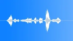 Haunted voice 2Sound Effect