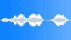 Haunting Background Feedback Loop - Nova SoundSound Effect