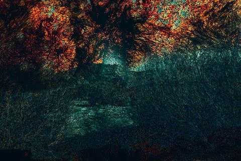 A haunting forest texture in dark emerald and amber tones, overlaid with digital Stock Photos