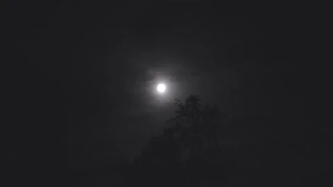 Haunting Full Moon in Night Sky – Black and White Horror Background Stock Footage 336125305