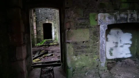 Haunting Remnants: Desolate Hallway and Fireplace in Ruins - 4K Stock Footage 256033225