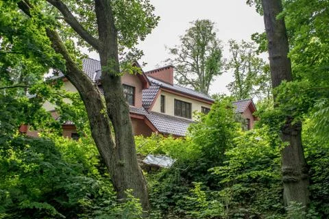 Haus on trees Foto stock