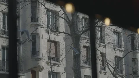 Haussmann Building at Dusk Through Branches with Bokeh Lights Stock Footage 341345680
