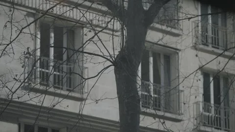Haussmann Building Through Bare Tree Branches Stock Footage 341345716