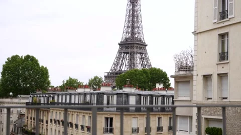 Haussmann buildings with trees on rooftop and Eiffel tower in background  Stock Footage 237923027