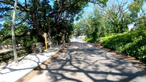 Havana Cuba 스톡 동영상 92697465