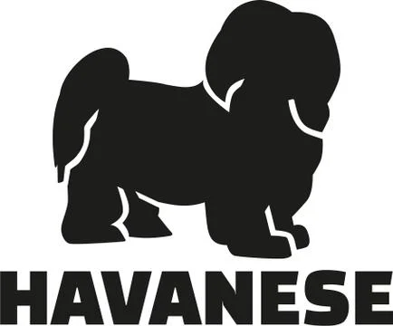 Havanese with breed name Stock Illustration