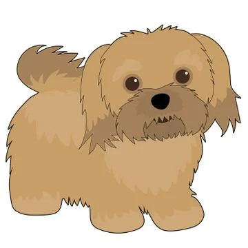 Havanese Stock Illustration