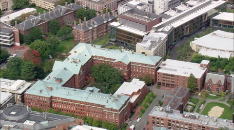 Havard University Stockbeeldmateriaal 65422348