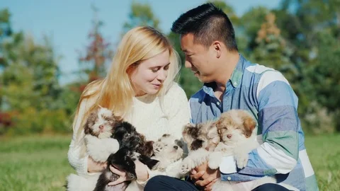 Have fun with pets. Young multi-ethnic couple holding many small puppies on Stock Footage 82486764