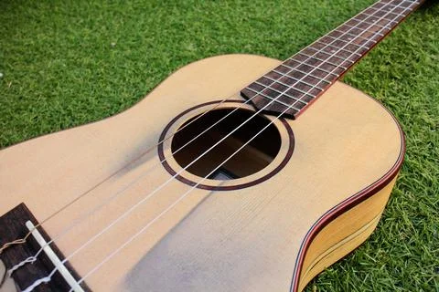 Have fun with uke Stock Photos