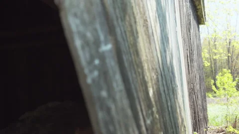 Have a look in old barn opening / Focus pull Stock Footage 130885068