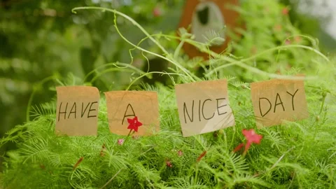 "Have a Nice Day" Note in Green Garden (Slider Motion) Stock Footage 344016281