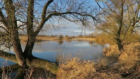 Havel river landscape in winter time. little bit of sun and ice floe Video stock 71625986