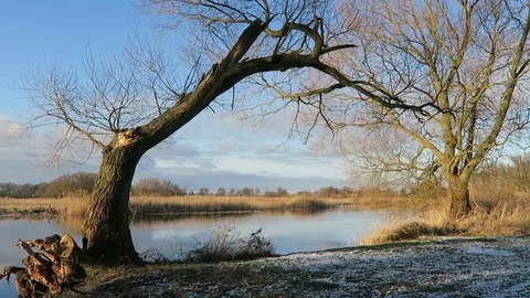 Havel river landscape in winter time. little bit of sun and ice floe around.. 스톡 동영상 71626245