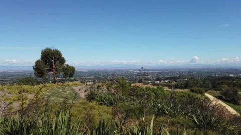 Havelock North Stock Footage 163483101