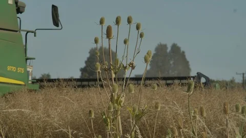 Haverster slow motion Stock Footage 125062062