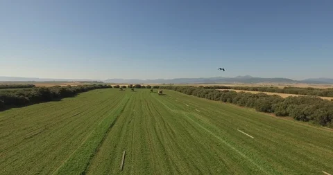 Havester drone Video stock 108720689