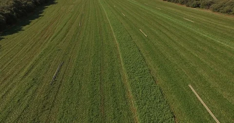 Havester drone Video stock 108721720