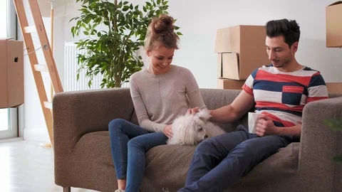 Having a break from moving house with pet  Stockbeeldmateriaal 112164220