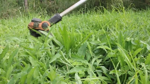 Having a good cutting the grass with a small brush cutter Stock Footage 287040422