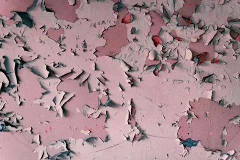 HAVING PAINT Foto stock