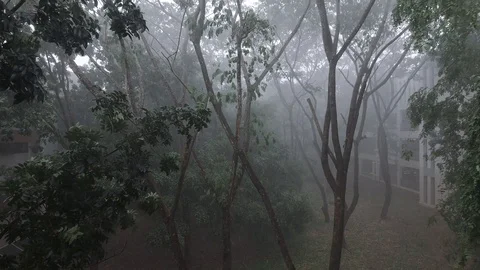 Having rain from thunderstorm Stock Footage 121106524