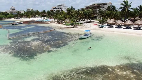 Having a relaxing bath in an unspoiled Caribbean beach Stock Footage 156873166