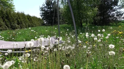 Having rest.. Stock Footage 108339350