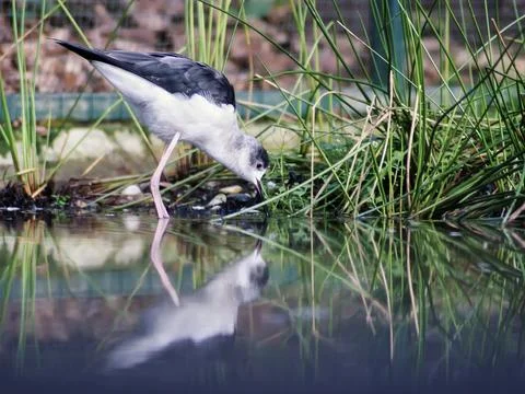 Having a snack Stock Photos