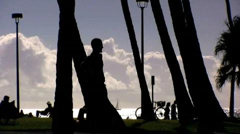 Hawaii 10 Stock Footage 623288