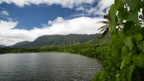 Hawaii 62 Stock Footage 155494990