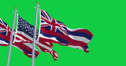 Hawaii and the US flags waving on green background Video stock 243900723