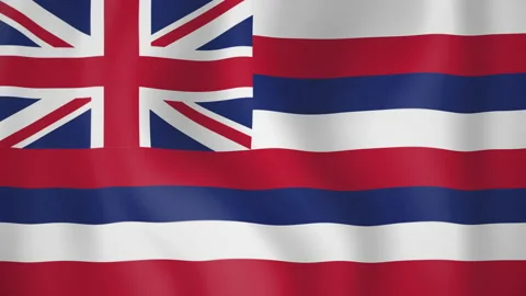 Hawaii animated flag. Seamless loop. 4K 스톡 동영상 145386160