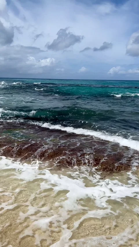Hawaii beach, Oahu Stock Footage 238009277