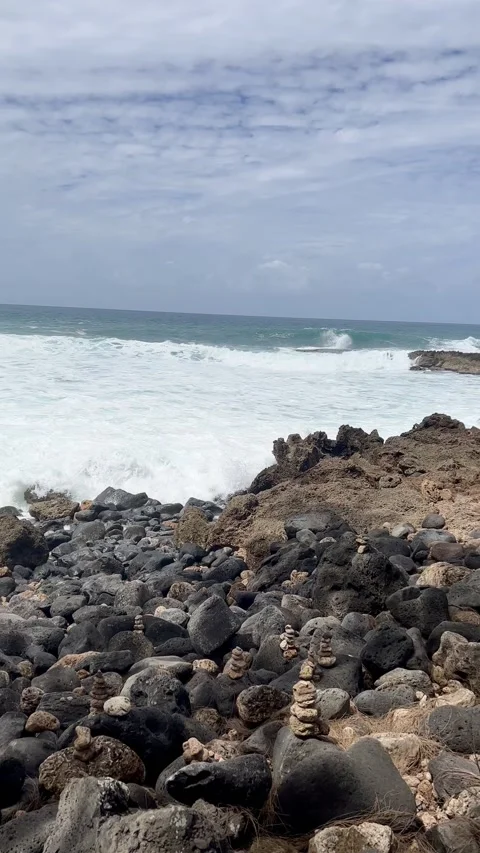 Hawaii beach, Oahu Video stock 238009306
