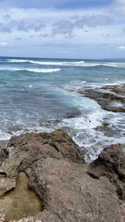 Hawaii beach, Oahu Video stock 238009324