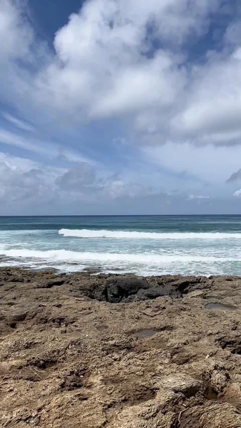 Hawaii beach, Oahu Video stock 238009380