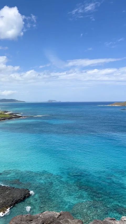 Hawaii beach, Oahu Video stock 238009422