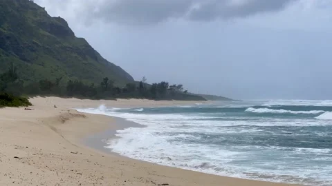 Hawaii beach, Oahu Video stock 238009536