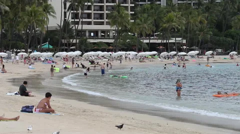 Hawaii Beach pan Video stock 40269402