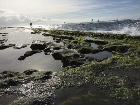 Hawaii Beach Stock Photos