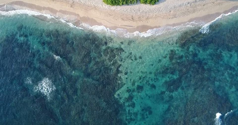 Hawaii Beach Walk 動画素材 127795440