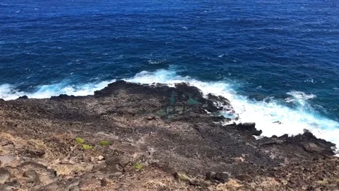 Hawaii Blue Beach &amp; Cliffs - Oahu - Hiking The Coast Of Hawaii Stock Footage 116578057