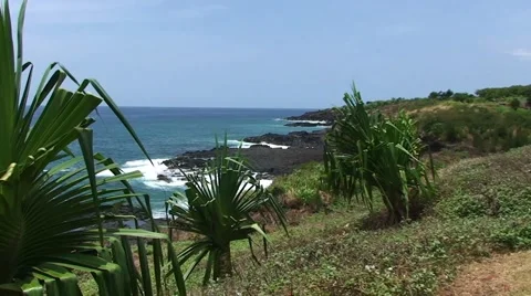 Hawaii Coastline Stock Footage 48946007